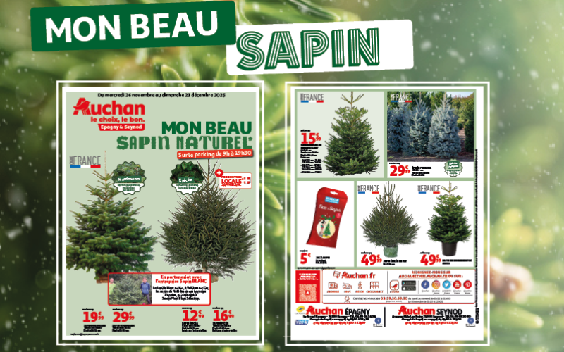 MON BEAU SAPIN