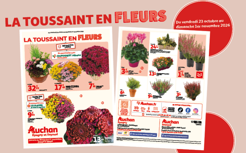 LA TOUSSAINT EN FLEURS