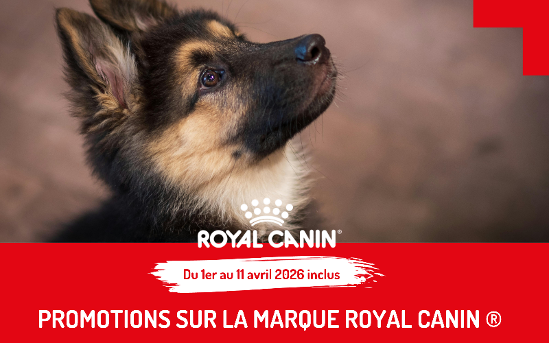 Promotions Royal Canin®