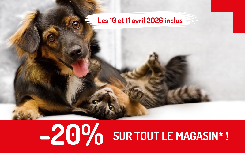 🎉 Deux jours exceptionnels à ne pas manquer ! 🎉