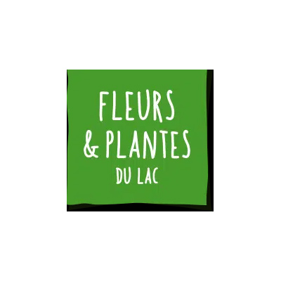 Chèque cadeau