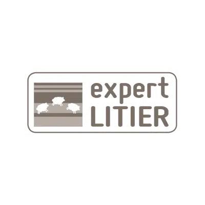 Logo Brand